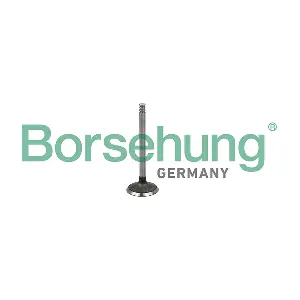 B19029 Borsehung