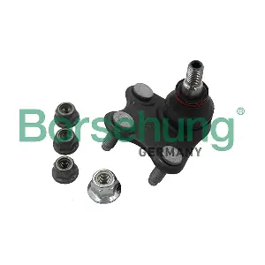 B18694 Borsehung