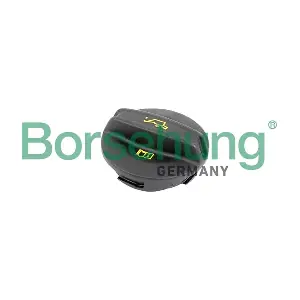B10670 Borsehung