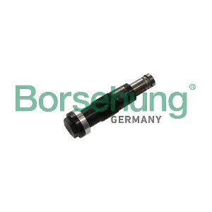 B1T028 Borsehung