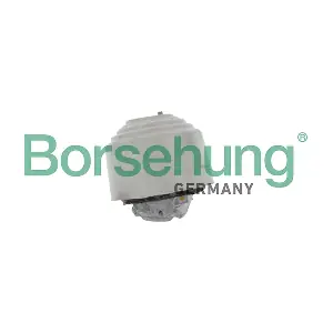 B13043 Borsehung