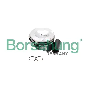Borsehung B18993