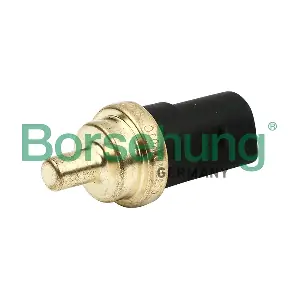 B13133 Borsehung