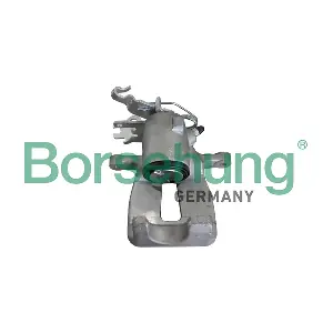 B11682 Borsehung