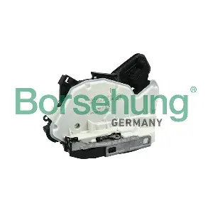 B18649 Borsehung