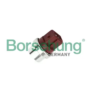 B18289 Borsehung