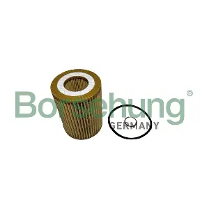 B12458 Borsehung