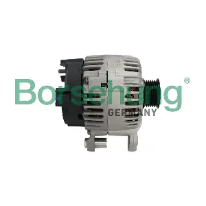 B19153 Borsehung