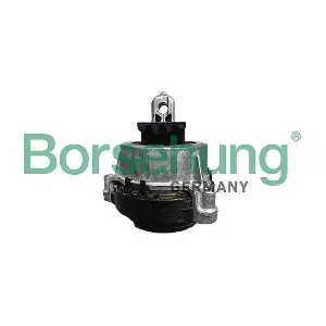 B12610 Borsehung