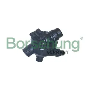 B10552 Borsehung