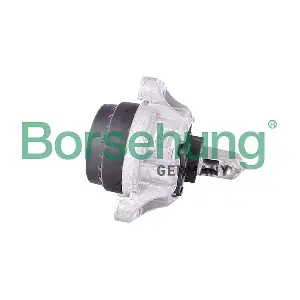 B12606 Borsehung