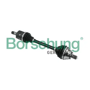 B18303 Borsehung