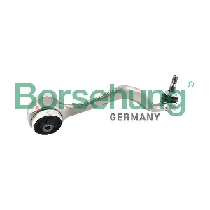 B12544 Borsehung
