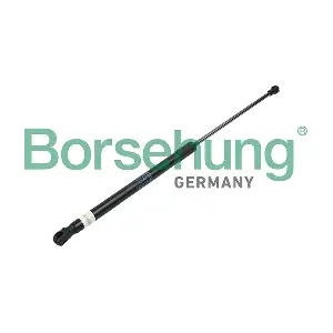B14189 Borsehung