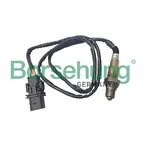 Borsehung B18922