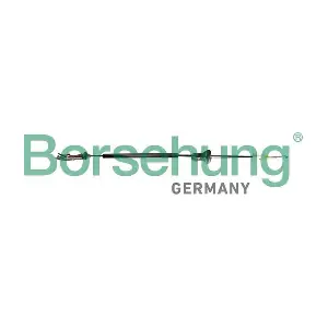 B10794 Borsehung