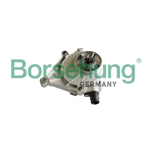 B12223 Borsehung