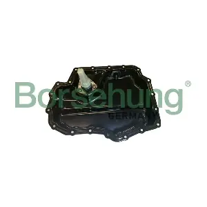 B12433 Borsehung