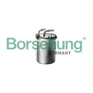 B10481 Borsehung