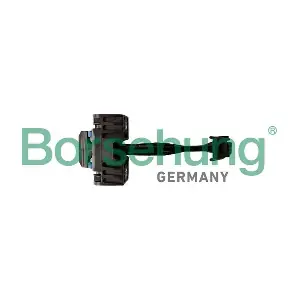 B10278 Borsehung