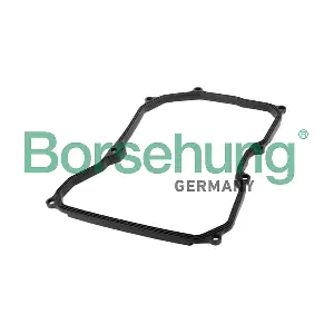 B12728 Borsehung