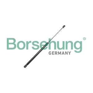 B12063 Borsehung