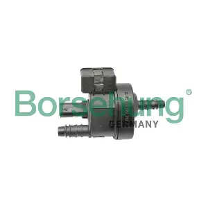 B12316 Borsehung