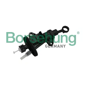 B19141 Borsehung