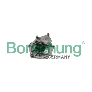 B15313 Borsehung