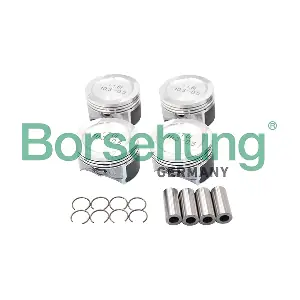 B13578 Borsehung