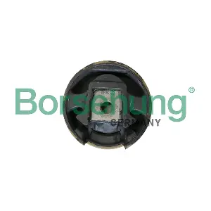 Borsehung B19107