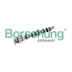 B11310 Borsehung