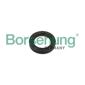 Borsehung B18729