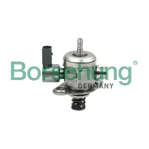 B13841 Borsehung