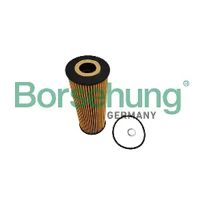 B10446 Borsehung