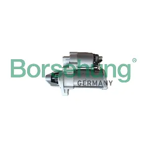 B12940 Borsehung