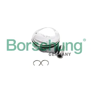 Borsehung B18991