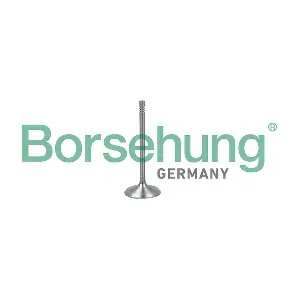 B19017 Borsehung
