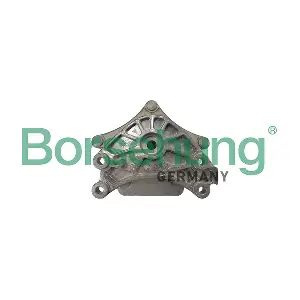 B12889 Borsehung
