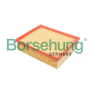 B12805 Borsehung