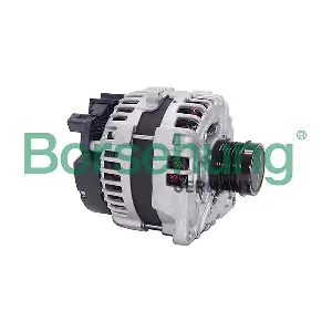 B12660 Borsehung