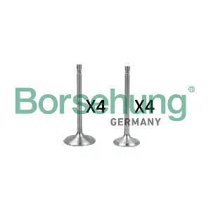 B18146 Borsehung