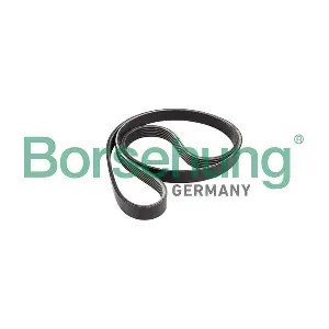 B12384 Borsehung