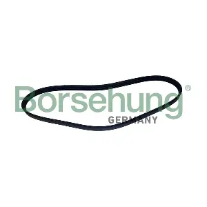 B12498 Borsehung