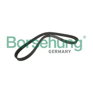 B12355 Borsehung