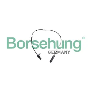 B13105 Borsehung
