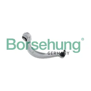 B10851 Borsehung
