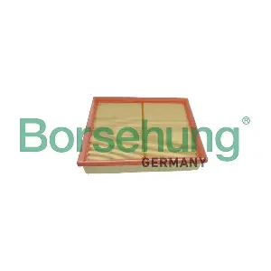 B13059 Borsehung