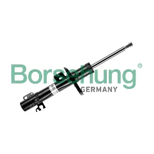 B12138 Borsehung