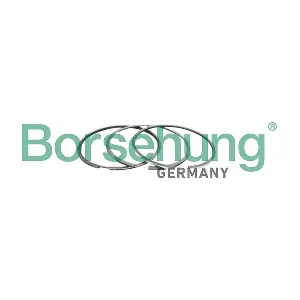 Borsehung B10366